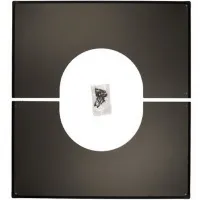 00000020127