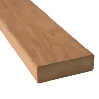 00000017908